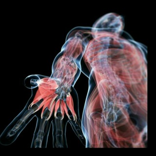 Anatomy - Telegram Channel
