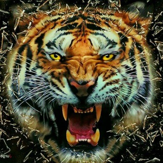 telegram channel dadem