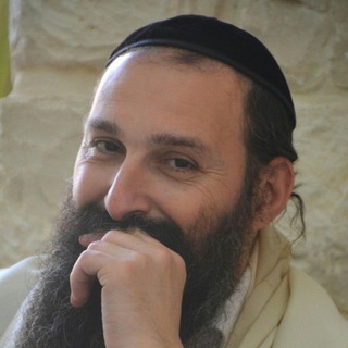 telegram channel daily zohar reading