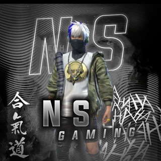 N.S Gaming ✅ - Telegram Channel