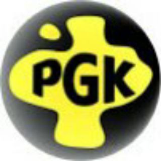 Pss Gamer King - Telegram Channel