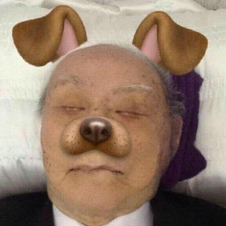 telegram channel dank videos