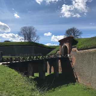 telegram channel ddose