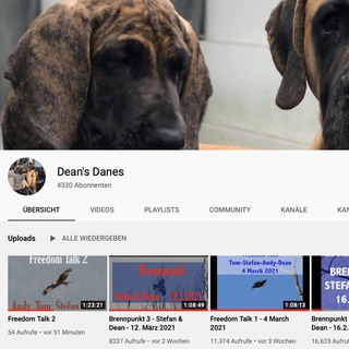 telegram channel deans danes