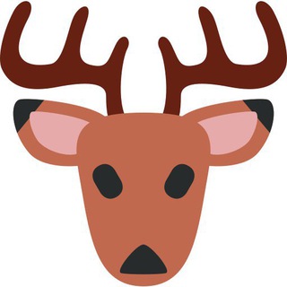 telegram channel deerfi