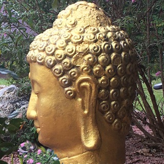 telegram channel dhammasukha