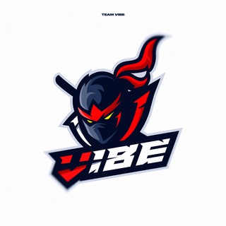 FC VIBE