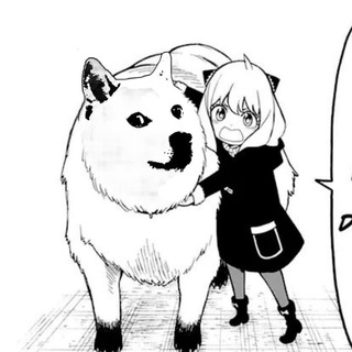 telegram channel Doge edits