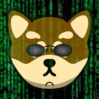 telegram channel doge reloaded