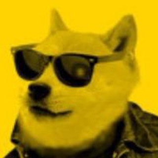 telegram channel dogefi