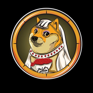 telegram channel dogewife