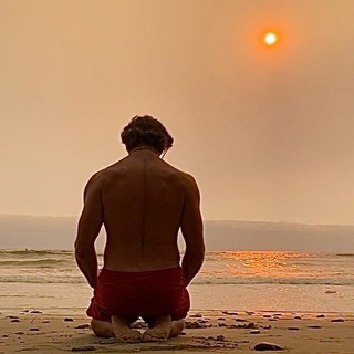 telegram channel dr tommy john