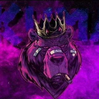 telegram channel drake bell net worth 2022