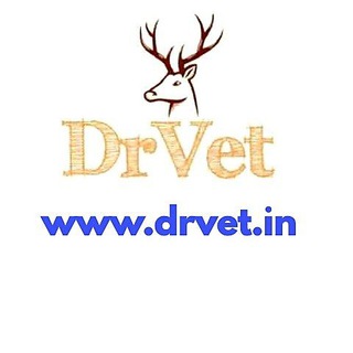 telegram channel drvet