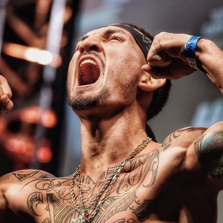 telegram channel dudestream ufc