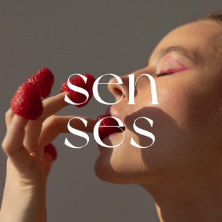 senses - Telegram Channel