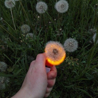 telegram channel eminem careful what you wish for download