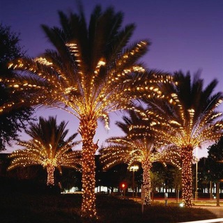 ? КРАСИВЫЕ КАРТИНКИ ?