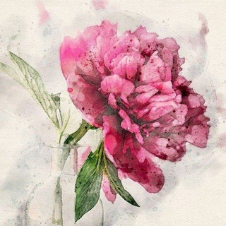 С Днем Рождения