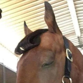 жюлі з 5 до 7