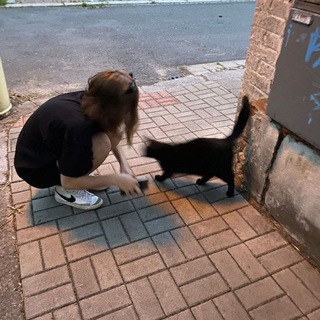 фото на аву для девушек ?