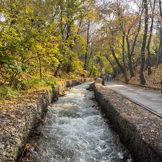 Картинки осени