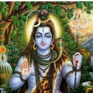 सत्ता गली सिंगल शॉट अंक