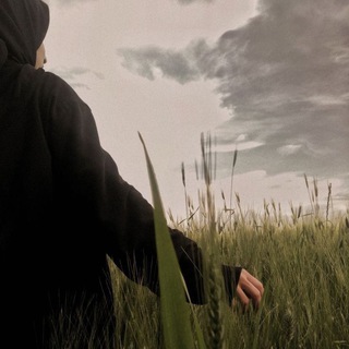 Dugonalarim uchun rasmlar❤?