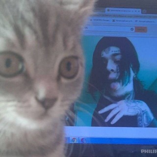 песни с тт| музыка| ремиксы