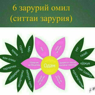 Халқ табобати Telegram channel