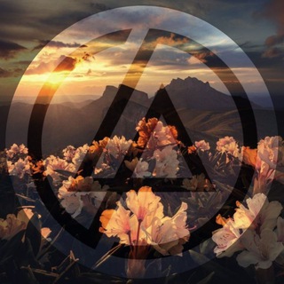 Linkin Park Chat