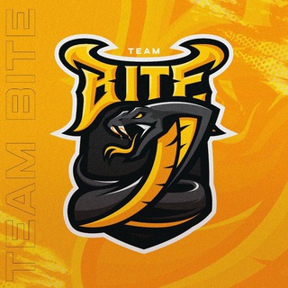 Bite team scrims