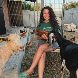 Здесь просто уютно?