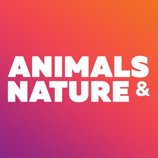 Animals & Nature - beautiful wallpapers