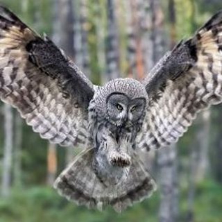 Сказкатерапия