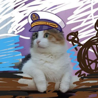 ?Пушистые жопки❤️