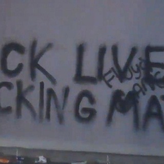 The Black Lives Revolution (BLM)