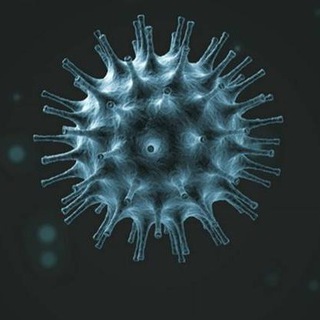 CoronaVirusNewsLive.com