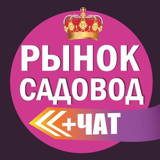 Рынок Садовод Поставщики