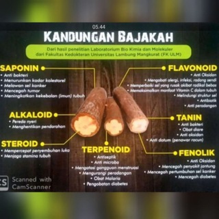 BAJAKAH ORI ASLI KALIMANTAN 100% Telegram channel