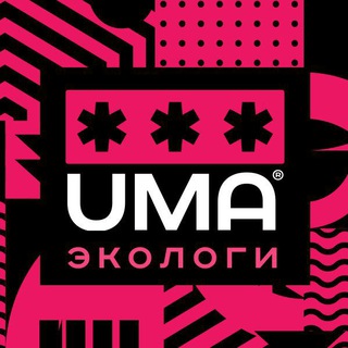 Экологи. Чат.