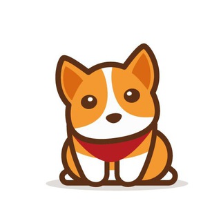 CCDOGE: SHIB Killer Telegram channel