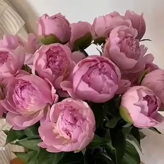 Становись собой ?