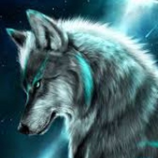 ALPHA CHAMPION'