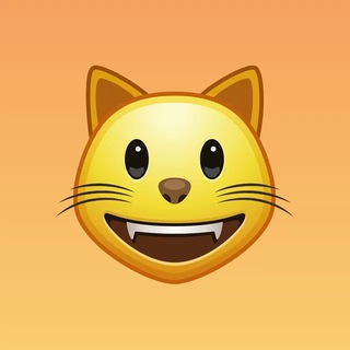 Money cat | Crypto gems