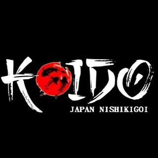 KOIDO JAPAN NISHIKIGOI Telegram channel