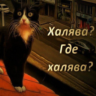 Новости?Халява?