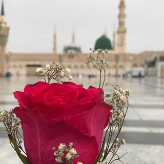 Kisah Orang Sholeh Telegram channel