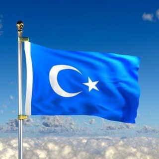 Turk Qavmi