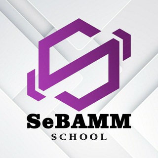 SeBAMM consulting